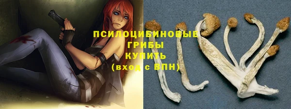 МДПВ Алексин