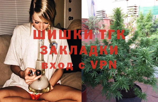мяу мяу мука Аркадак