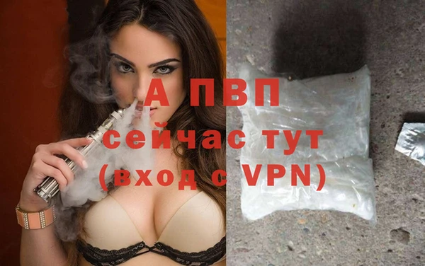 гашик Арсеньев
