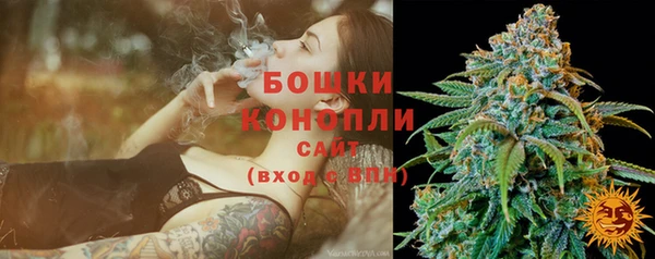 гашик Арсеньев