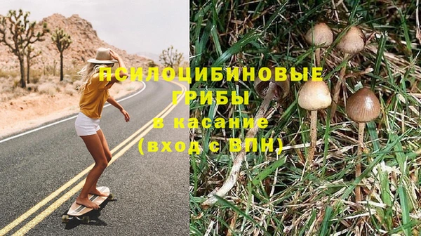МДПВ Алексин