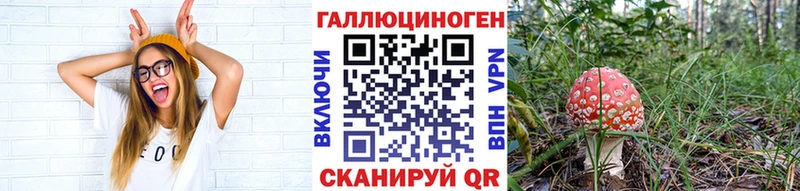 Галлюциногенные грибы MAGIC MUSHROOMS  Петропавловск-Камчатский 