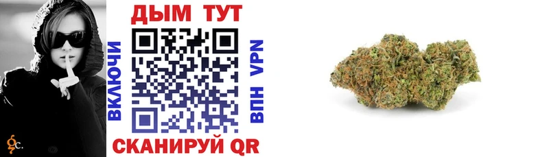 купить  сайты  Петропавловск-Камчатский  ОМГ ОМГ как войти  Конопля White Widow 